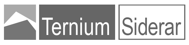TERNIUM-SIDERAR-LOGOGRIS